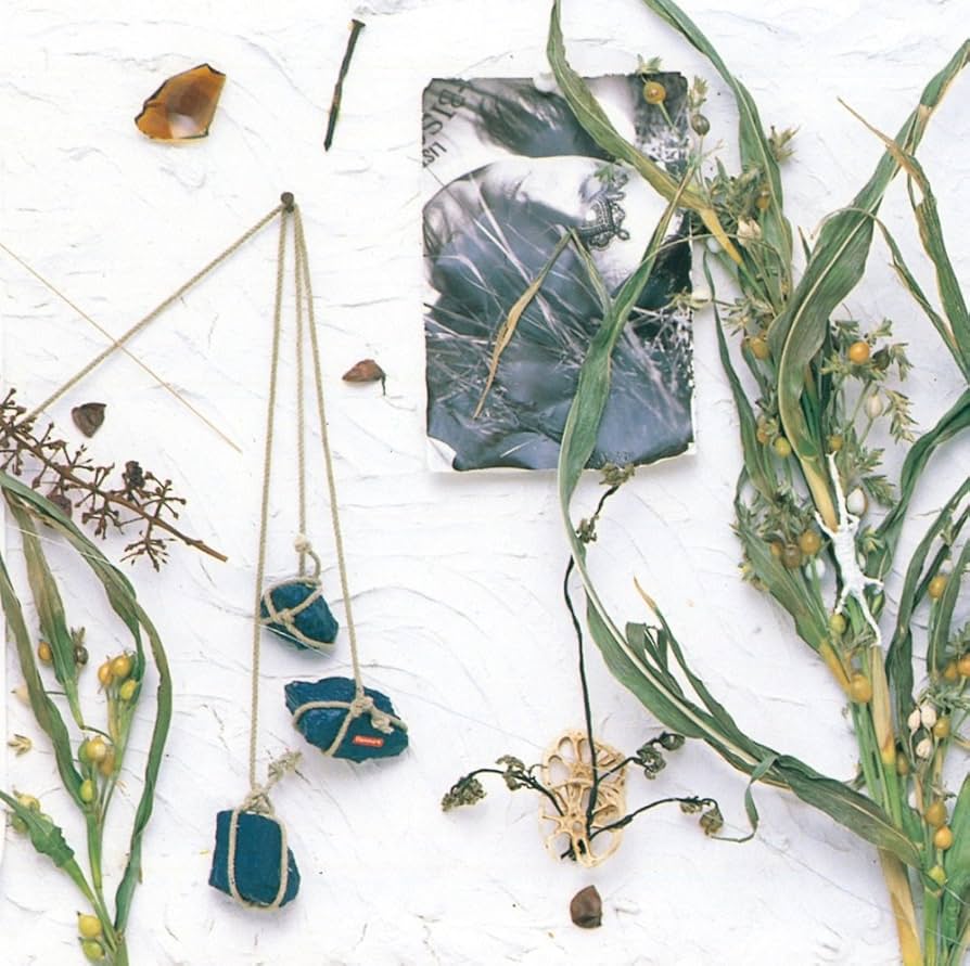 夏のぬけがら 真島昌利 アナログ レコード Amazon.co.jp: 夏のぬけがら [アナログ] [Analog]: ミュージック